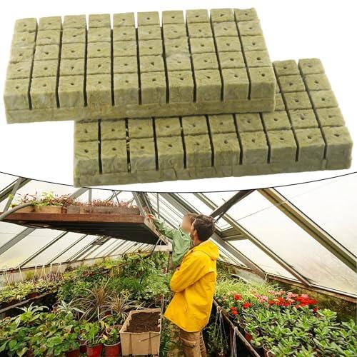 Guía técnica sobre los cubos verdes FACAIIO para propagación y germinación de plantas