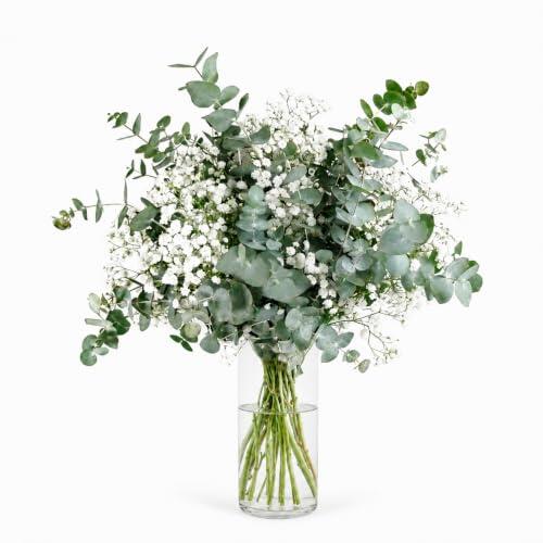/storage/photos/1/B0HH6T4TY5.jpg