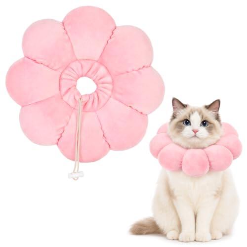 Cómo elegir el collar de recuperación ideal para tu gato tras una cirugía
