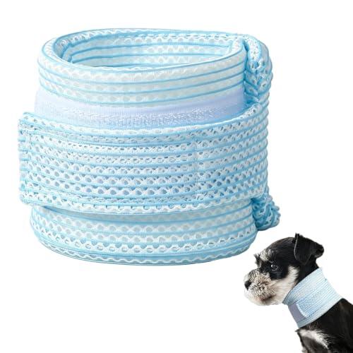 Alternativa moderna y cómoda al cono isabelino tradicional para gatos
