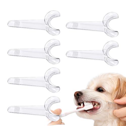 Guía definitiva para el cuidado dental canino: uso y beneficios del abridor en forma de T