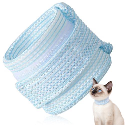 La Revolucionaria Alternativa al Collar Isabelino Tradicional para Gatos
