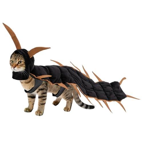 El disfraz de ciempiés para gatos: una opción original para Halloween