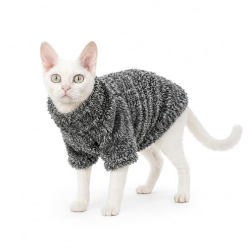 Guía de Abrigos para Gatos Sphynx y Devon Rex: Confort y Protección Invernal