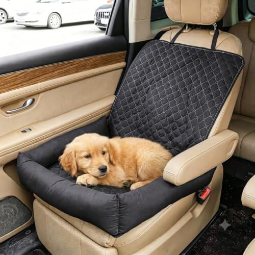 Protege tu Audi Q4 e-tron con el asiento para perro DATONGDYFA