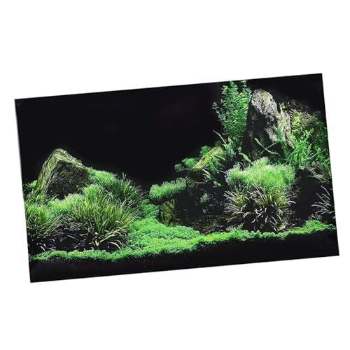 RiToEasysports Pegatina para Acuario, Fondo de PVC de 61x40 Cm (76 * 46cm)