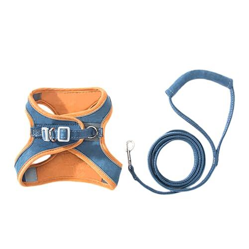 Guía Definitiva: Cómo Elegir el Arnés Ideal para Pasear a tu Gato de Forma Segura