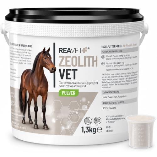 Guía completa sobre la Zeolita Clinoptilolita para perros y su impacto en la salud digestiva