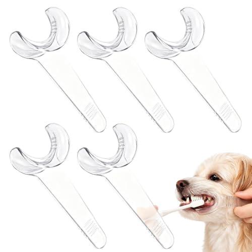 Guía para el cuidado dental canino: uso del abrebocas ergonómico transparente