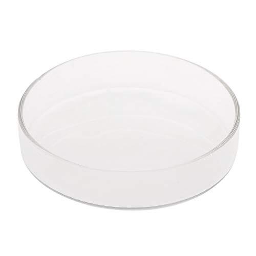 ZHOUYQX Plato de alimentación para gambas de Acuario, de Cristal Transparente, Peces de Fondo, Bandeja Redonda de 9 cm (3,9 x 3,5 x 3,2 x 2,4 Pulgadas).