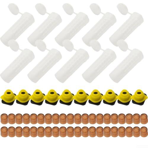 /storage/photos/1/B0HKKZGK9V.jpg