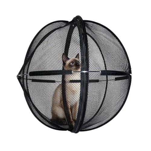 Recinto Exterior para Gatos Lavable Portátil con Ruedas Y Malla | Recinto De Mascotas, Tienda Esférica De Juego Para Hogar Jardín Césped Patio Balcón Parque Camping Habitación