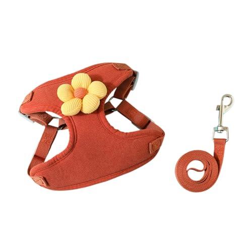 Guía definitiva para elegir el arnés ideal para cachorros y gatos de razas pequeñas