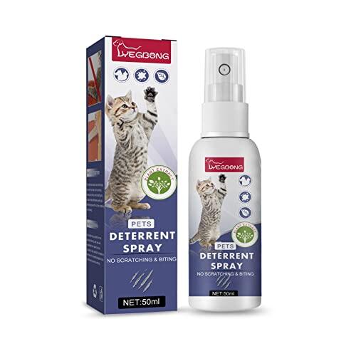 Soluciones efectivas para evitar que los gatos arañen el sofá