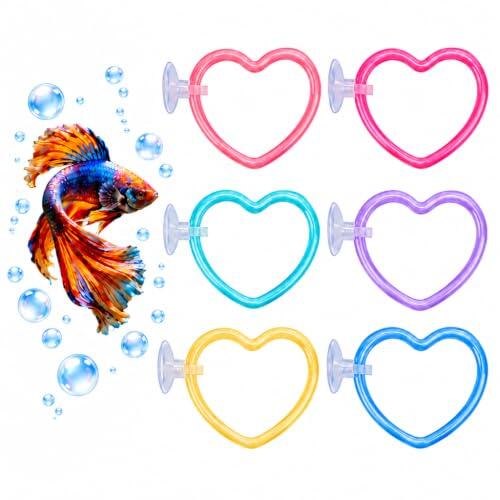 CHIHOLEN Juego de 6 anillos de ejercicio Betta en corazón con ventosa | Forma de corazón, fijación de ventosa estable, bordes lisos para aletas, enriquecimiento activo para acuario