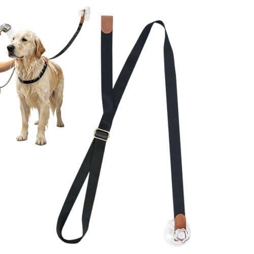 Guía Definitiva para el Baño y Aseo Canino Seguro en Casa