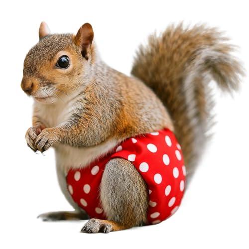Soluciones textiles para roedores: Guía sobre los pañales tipo pantalón para hurones