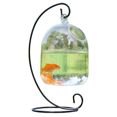 Pecera colgante, mini tanque transparente con soporte para ahorrar espacio | Acuario de jarrón de vidrio de construcción impermeable para el hogar, accesorio de oficina.