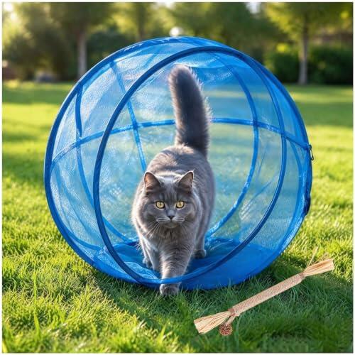 Bola de corralito Gato rodante emergente panorámica de 360 ° (Azul) | Recinto de Bola para Gatos al Aire Libre con Cremallera Rodante, Malla Transpirable Plegable, Para Césped Y Patio Trasero